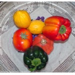 n�2 Ancien legumes fruits en pape mache peint a la main