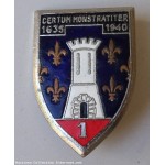 lot de 2 Insignes militaire-pucelle � identifier - lot n� 19.