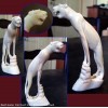 Lionne Sculpture Art Africain en defense de phacochere