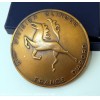 Ancienne m�daille 5 eme Division Blind�e France D�Abord -